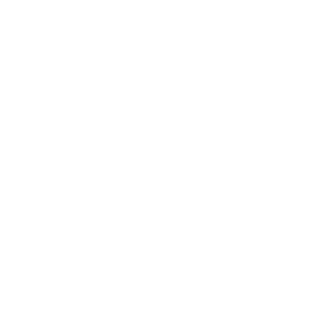 IT Dienstleistungen - Service Computer Team GmbH – Wiesbaden – SCT